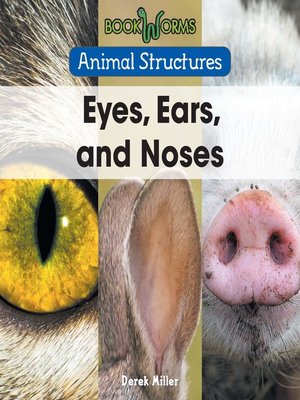 cover image of Eyes, Ears, and Noses